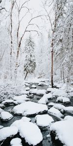 Ríos,Árboles,Nieve,Invierno,Naturaleza,Paisaje