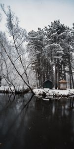 Rivières,Arbres,Neige,Nature,Structure,Hiver