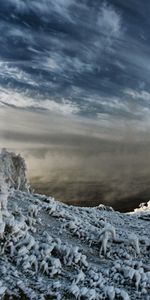 Winter,Sky,Clouds,Snow,Spruce,Fir,Steam,Severity,Blackness,Heaviness,Nature