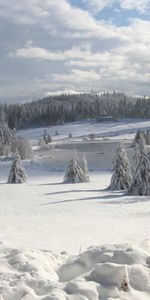 Winter,Sky,Snow,Forest,Loose,Ate,Cover,Friable,Robe,Garb,Nature,Clouds,Field,Drifts