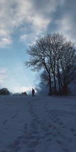 Winter,Sky,Snow,Silhouette,Wood,Tree,Nature