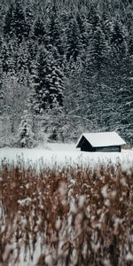 Forêt,Périphérie,Bord,Neige,Nature,Loger,Hiver,Petite Maison