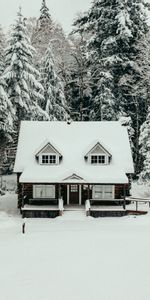 Hiver,Nature,Forêt,Neige,Loger,Maison