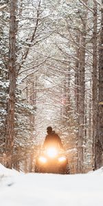 Winter,Snow,Human,Person,Snowmobile,Motorcycles,Forest