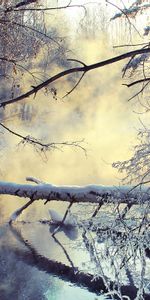 Neige,Bois,Nature,Matin,Vapeur,Lac,Arbre,Hiver