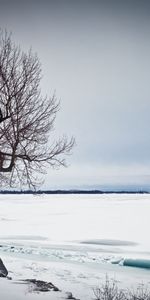 Winter,Snow,Lake,Wood,Tree,Nature,Ice