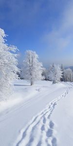 Paisaje,Invierno,Nieve