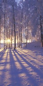 Winter,Snow,Landscape