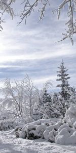 Winter,Snow,Landscape