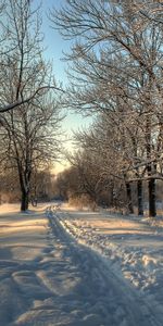 Hiver,Neige,Paysage