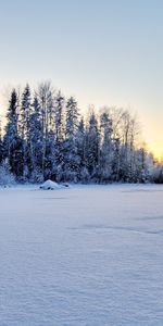 Invierno,Nieve,Paisaje