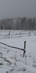 Winter,Snow,Landscape