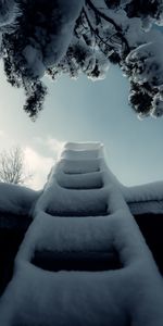 Winter,Snow,Miscellanea,Miscellaneous,Branch,Ladder,Stairs