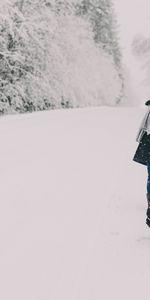 Divertissement,Traîneau,Une Luge,Neige,Hiver,Divers,Personnes