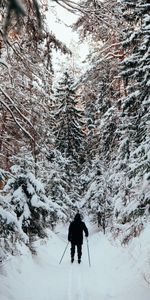 Winter,Snow,Miscellanea,Miscellaneous,Forest,Skier,Skiing,Human,Person