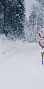 Winter,Snow,Miscellanea,Road,Forest,Pointer,Miscellaneous