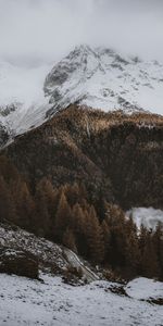 Winter,Snow,Mountain,Road,Forest,Nature