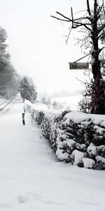 Assiette,Plaque Signalétique,Enseigne,Traces,Neige,Route,Nature,Signe,Hiver