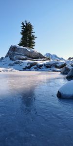 Winter,Snow,Rock,Lake,Wood,Tree,Nature