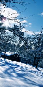 Éclat,Briller,Les Dérives,Couvrir,Nature,Neige,Dérives,Hiver,Voiles,Maison,Loger,Jardin