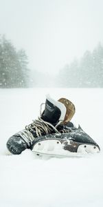 Patins,Neige,Chute De Neige,Hiver,Sport