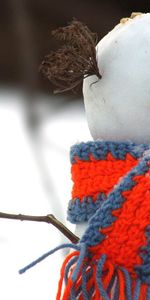 Winter,Snow,Snowman,Bird,Tit,Titica,Scarf,Animals