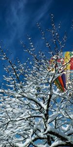 Nature,Bois,Arbre,Neige,Ballon,Hiver