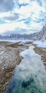 Mangé,Kranjska Gora,Mont Kranjska,Ate,Slovénie,Nature,Hiver,Arbres,Paysage