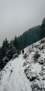 Winter,Trees,Elevation,Nature,Snow