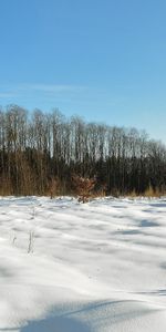 Winter,Trees,Grass,Sky,Snow,Field,Shadows,Fencing,I See,Azure,Nature,Enclosure,Clear