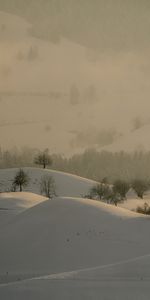 Les Collines,Collines,Neige,Nature,Arbres,Hiver,Paysage