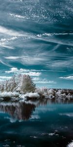 Winter,Trees,Lake,Colors,Color,Hoarfrost,Frost,Nature,Clouds,Reflection