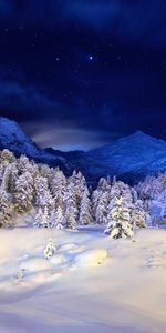 Winter,Trees,Landscape,Nature,Snow