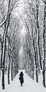 Humain,Personne,Arbres,Divers,Solitude,Hiver,Chemin,Jardin