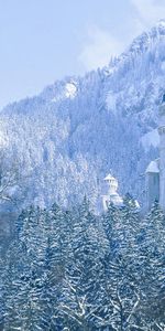 Arbres,Montagnes,Paysage,Hiver,Chateaux