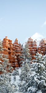 Winter,Trees,Mountains,Snow,Nature