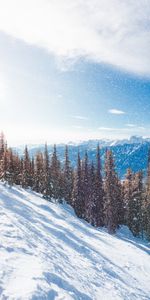 Invierno,Naturaleza,Montañas,Pendiente,Cuesta,Nevada,Árboles,Nieve