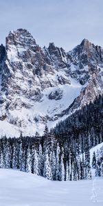 Winter,Trees,Mountains,Snow,Snow Covered,Snowbound,Nature,Italy