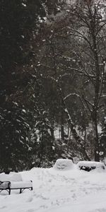 Winter,Trees,Nature,Snow,Bench,Park