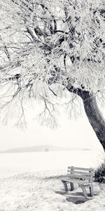 Winter,Trees,Objects,Snow,Landscape