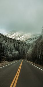 Route,Asphalte,Nature,Neige,Forêt,Arbres,Hiver