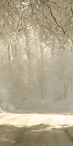 Neige,Routes,Paysage,Arbres,Hiver