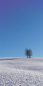 Winter,Trees,Sky,Horizon,Snow,Minimalism