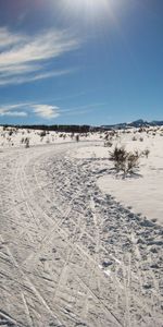 Winter,Trees,Sky,Road,Nature,Snow,Summer