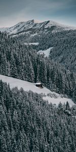 Invierno,Árboles,Nieve,Bosque,Pequeña Casa,Logia,Elevación,Naturaleza,Cielo