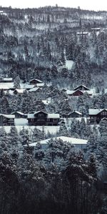 Winter,Trees,Snow Covered,Snowbound,Nature,Houses,Landscape