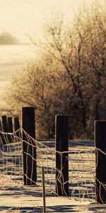 Winter,Trees,Snow,Fence,Fencing,Cover,Nature,Enclosure,Drifts