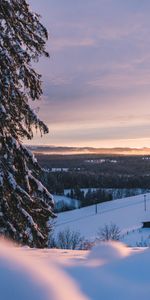 Winter,Trees,Snow,Hills,Nature,Landscape