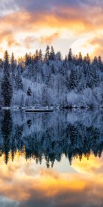 Réflexion,Forêt,Nature,Arbres,Neige,Lac,Hiver