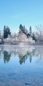 Winter,Trees,Snow,Lake,Reflection,Nature,Landscape